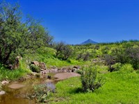 Sensational Salero Ranch : Rio Rico : Santa Cruz County : Arizona