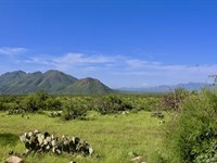 Sensational Salero Ranch : Rio Rico : Santa Cruz County : Arizona