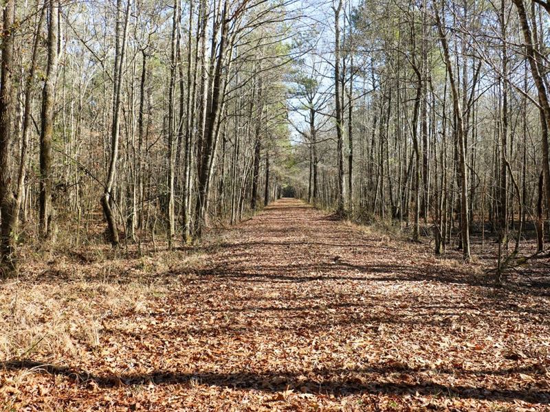 Neshoba County 621 Mud Lake, Sport : Philadelphia : Neshoba County : Mississippi