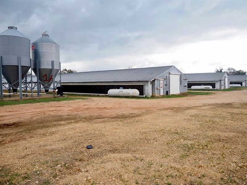 Poultry Farm 5 House Broiler 40 Acr : Mendenhall : Simpson County : Mississippi