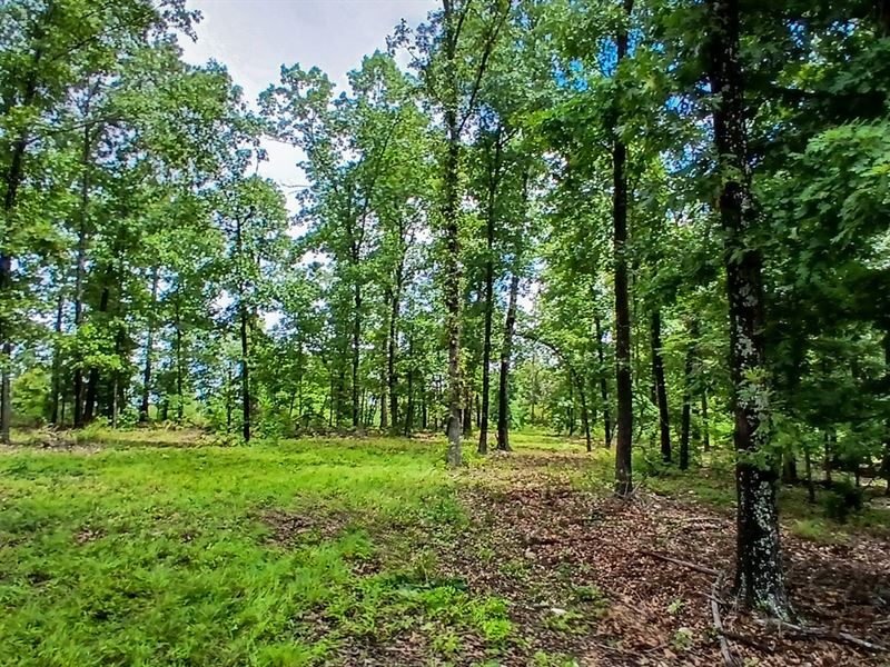 Breathtaking Night Sky Views : Mammoth Spring : Fulton County : Arkansas