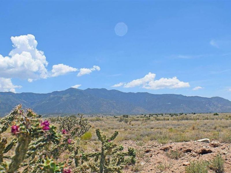 .25 Ac in Valencia County, NM : El Cerro : Valencia County : New Mexico