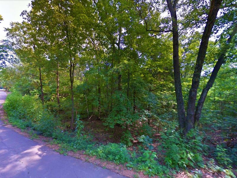 .28 Acre in Irondale, $200/Month : Irondale : Washington County : Missouri