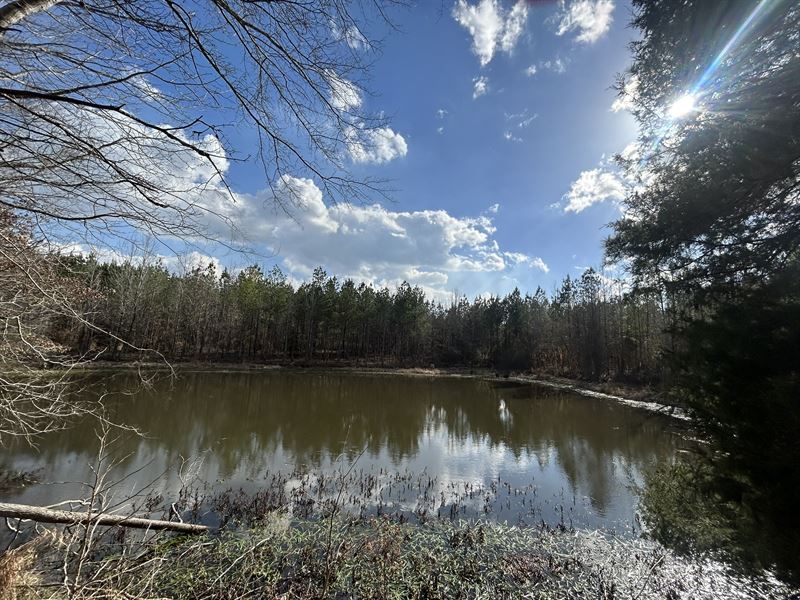 Moon Ranch : Hermanville : Claiborne County : Mississippi