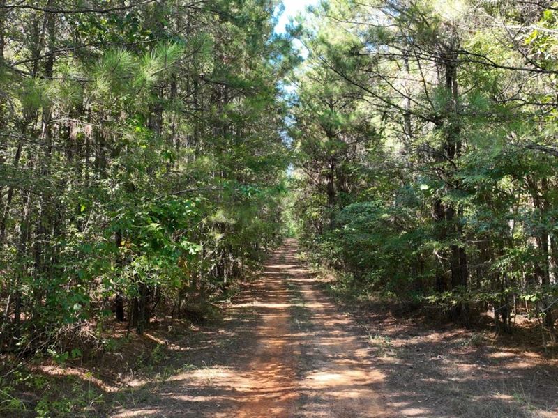 Nolen Estate of Claiborne Parish, 4 : Weldon : Claiborne Parish : Louisiana