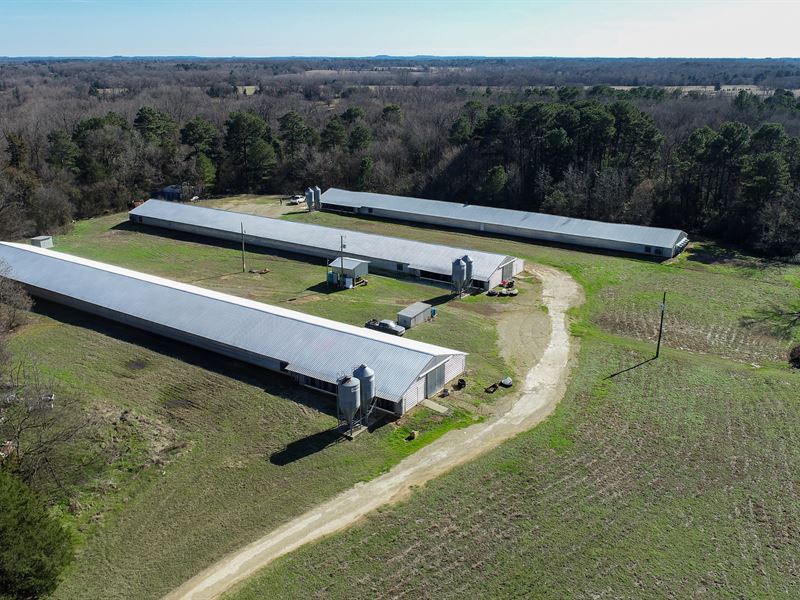 9 Acre Poultry Farm Camp County, TX : Pittsburg : Camp County : Texas