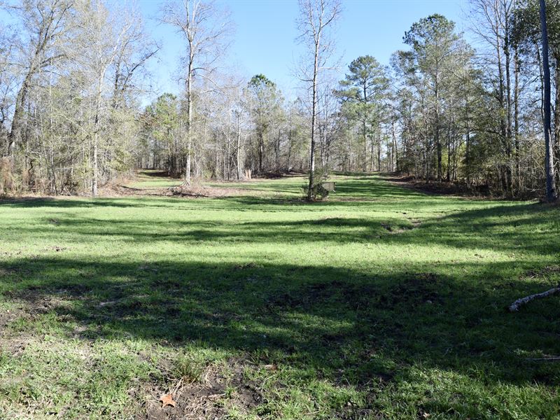 Bay Creek Homesite & Hunting : Fort Valley : Peach County : Georgia