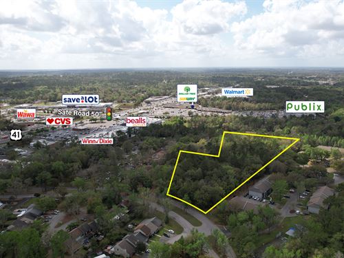 Land For Sale In Hernando County