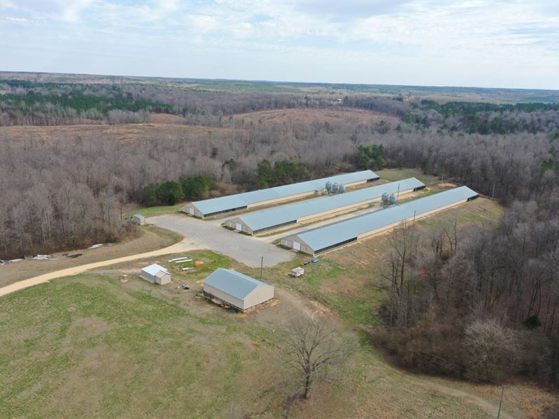 New Price-Morrow Broiler Farm : Hodges : Marion County : Alabama