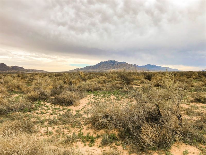 The World's First Wilderness Area : Deming : Luna County : New Mexico