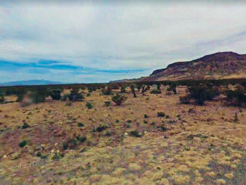 Incredible Double Lot in NM : Deming : Luna County : New Mexico