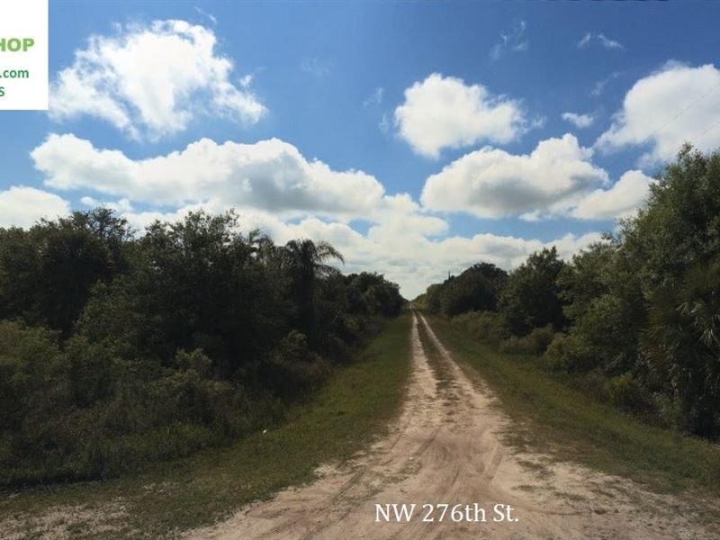 Homestead & Mobile Home Friendly : Okecchobee : Okeechobee County : Florida