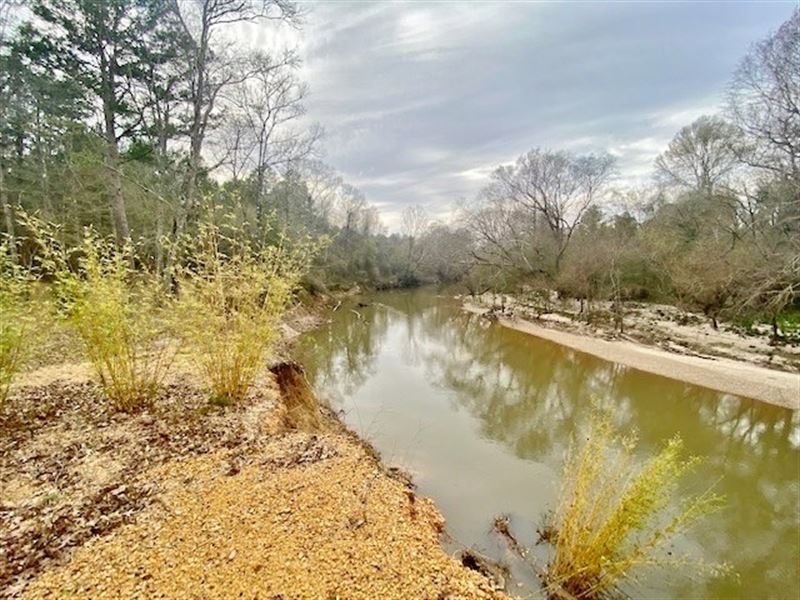 24.11 Acres Bogue Chitto River Fron : Summit : Pike County : Mississippi