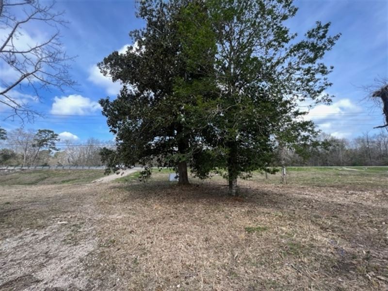 4.3 Acres Located On Hwy 10 / Frank : Franklinton : Washington Parish : Louisiana