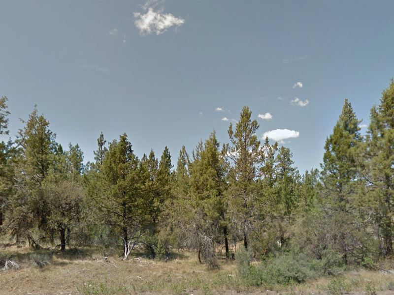 Beautifully Treed Recreational Lot : Beatty : Klamath County : Oregon