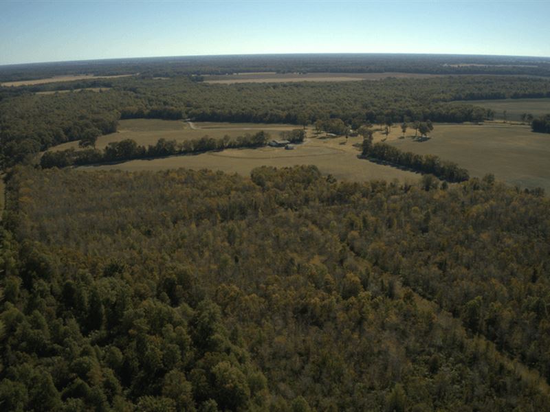 Mercer Ranch South, Lodge and 920 : Mangham : Richland Parish : Louisiana