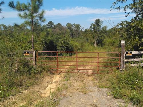 Chipley Florida Land for Sale : Page 3 of 3 : LANDFLIP