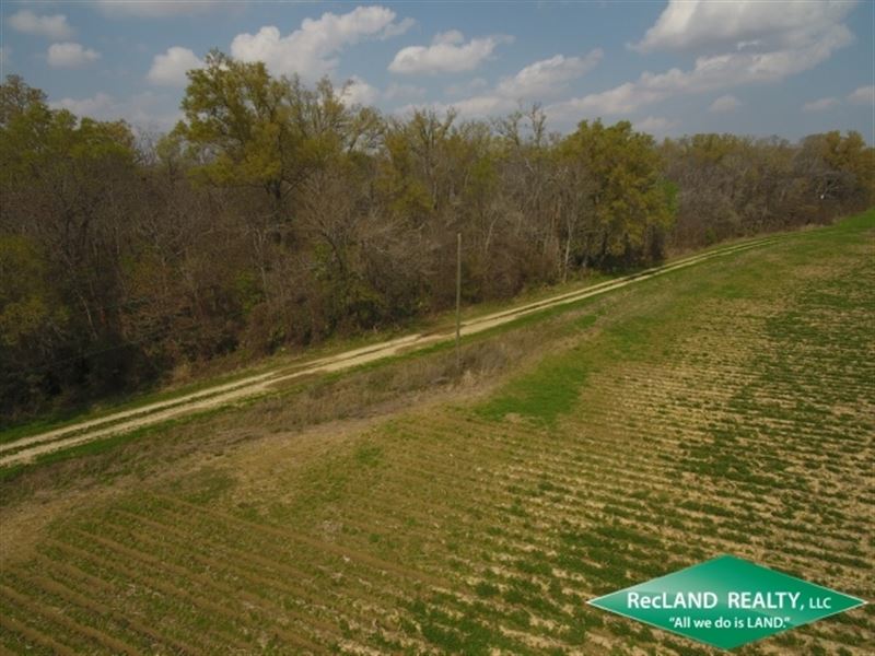 60 Ac, Farm Land with Woods : Epps : West Carroll Parish : Louisiana