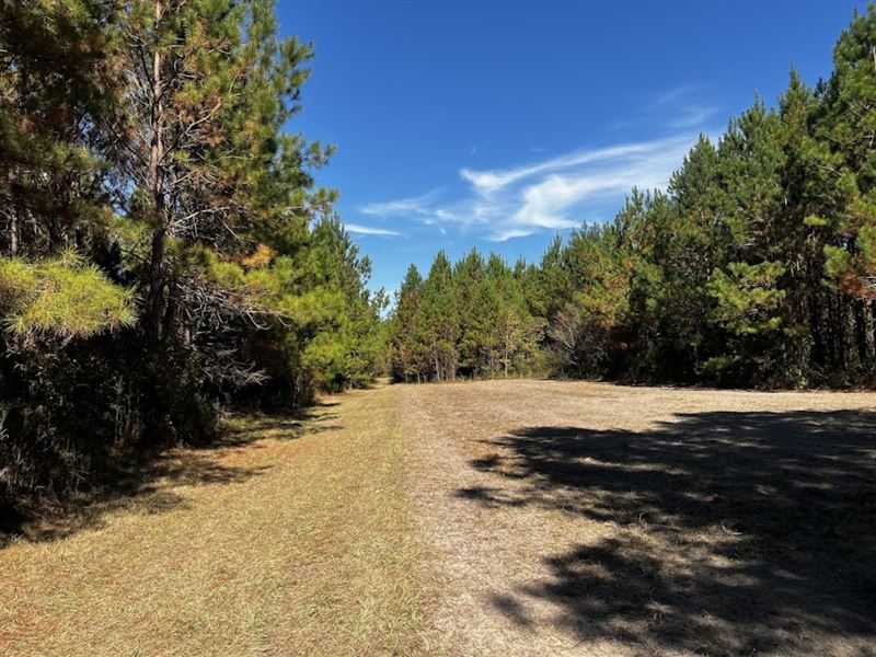 538.28 Acres in Aarons Place, Florida : Aarons Place : Gadsden County : Florida