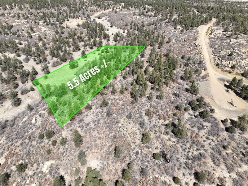 5.5 Ac Wooded Near Trinidad, CO : Trinidad : Las Animas County : Colorado