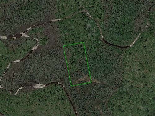 Volusia County Florida Land for Sale : LANDFLIP