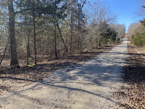 Mountain View Arkansas Cabin Land for Sale : LANDFLIP