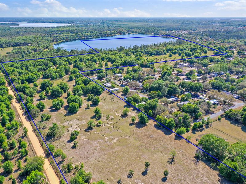 Lake County Transitional Waterfront : Fruitland Park : Lake County : Florida