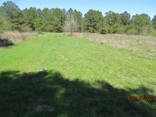 Land For Sale In Walker County Al