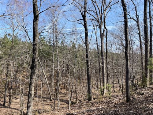 South Carolina Land for Sale Over 25 Acres : Page 7 of 12 : LANDFLIP