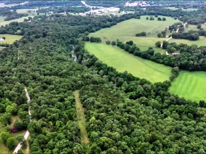 Timberland with River Frontage : Thayer : Oregon County : Missouri