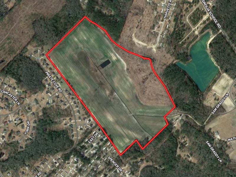 77 Acre Tract Near Washington, NC : Washington : Beaufort County : North Carolina