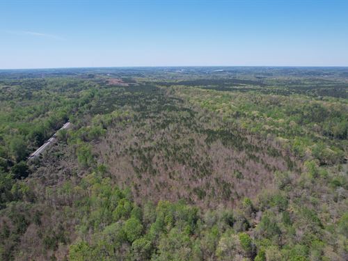 Land For Sale In Lee County Al