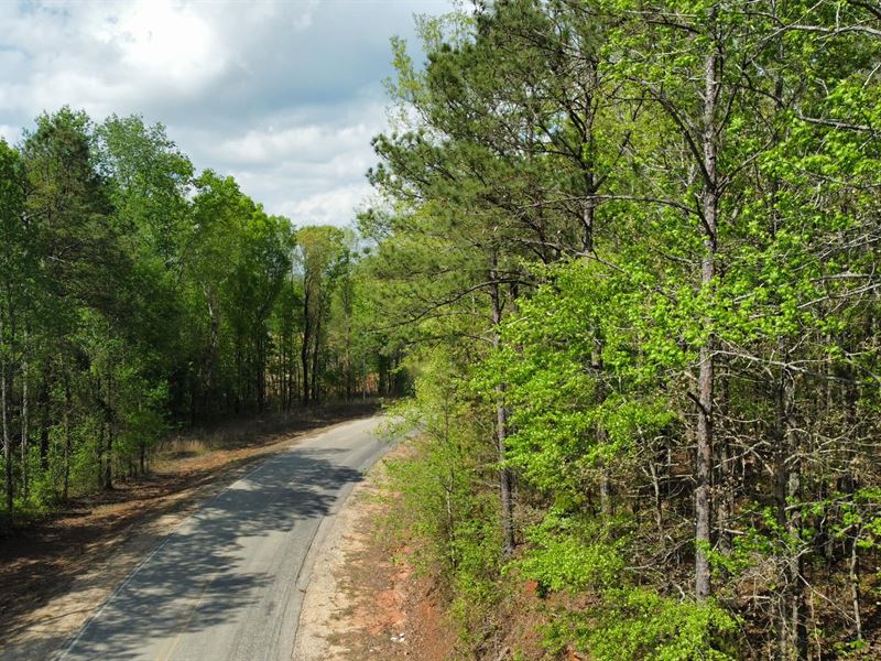 5 Acres Lee County : Opelika : Lee County : Alabama