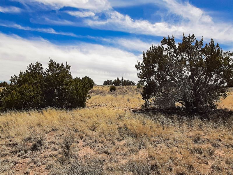 The Perfect Place to Find Adventure : Sanders : Apache County : Arizona