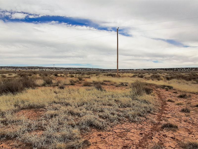 Own a Piece of Arizona Heaven : Sanders : Apache County : Arizona