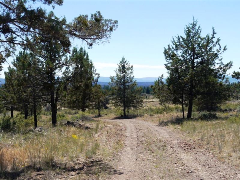 2.36 Acre in Klamath County, OR : Hildebrand : Klamath County : Oregon