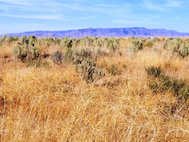 40.59 Acres in Humboldt County, NV : Pronto : Humboldt County : Nevada