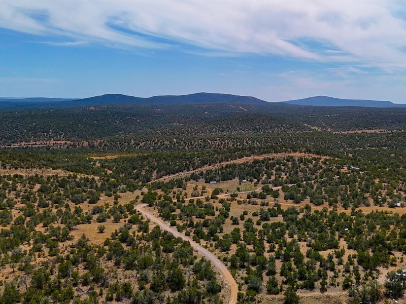 Seller Fin Deal, Weekend Escape : Seligman : Yavapai County : Arizona