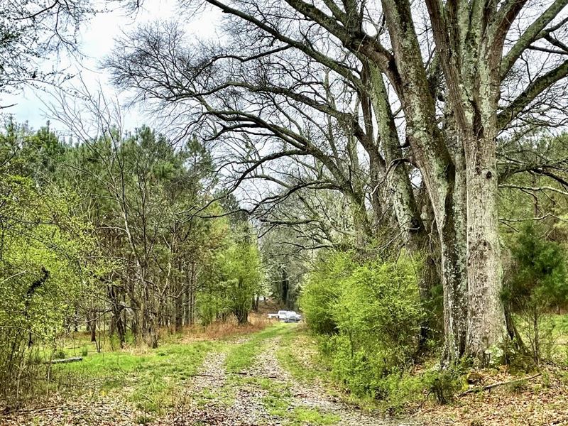 Cooper Farm : Nicholson : Jackson County : Georgia