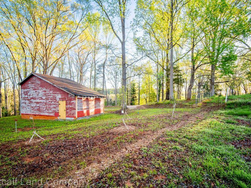 Northern Greenville County Homesite : Cleveland : Greenville County : South Carolina