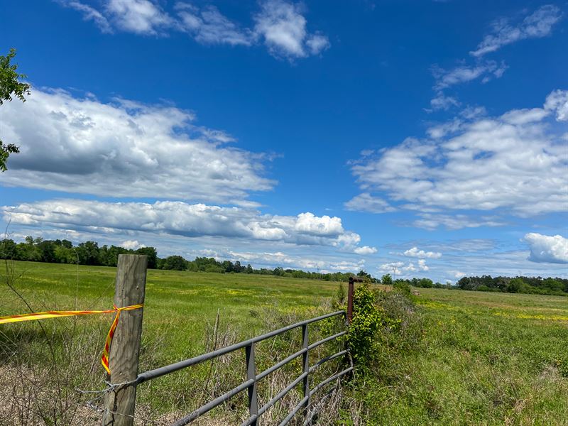 12 Acres, T-1 County Road 3625 : Lovelady : Houston County : Texas