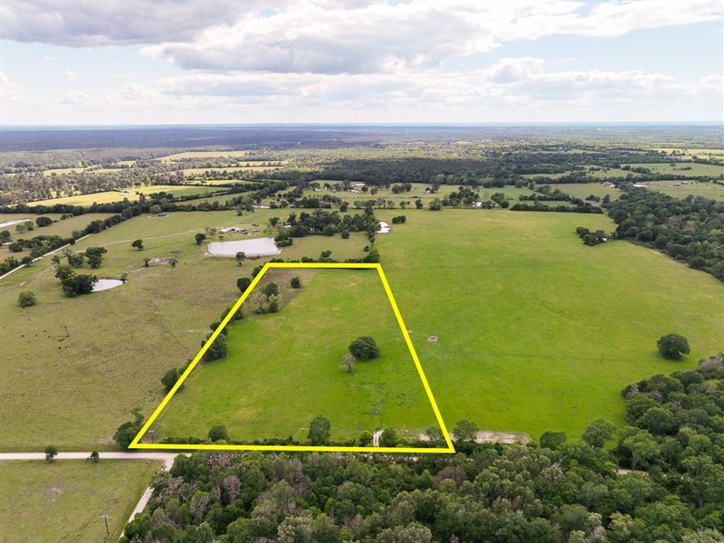 13 Acres, T-19 County Road 3630 : Lovelady : Houston County : Texas