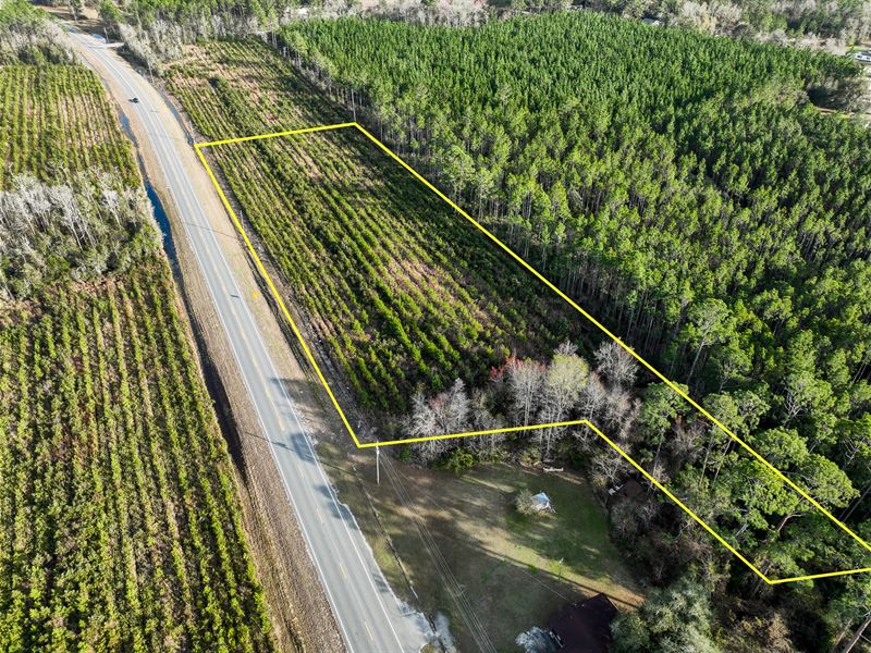 Tract 2, 3.79 Acres, Hwy 32 : Hortense : Brantley County : Georgia