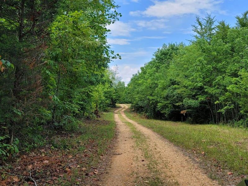 2100 Acres +, Rolling Hills and Ha : Waverly : Humphreys County : Tennessee