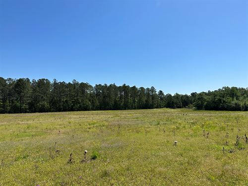 Wilkinson County Georgia Land for Sale : LANDFLIP