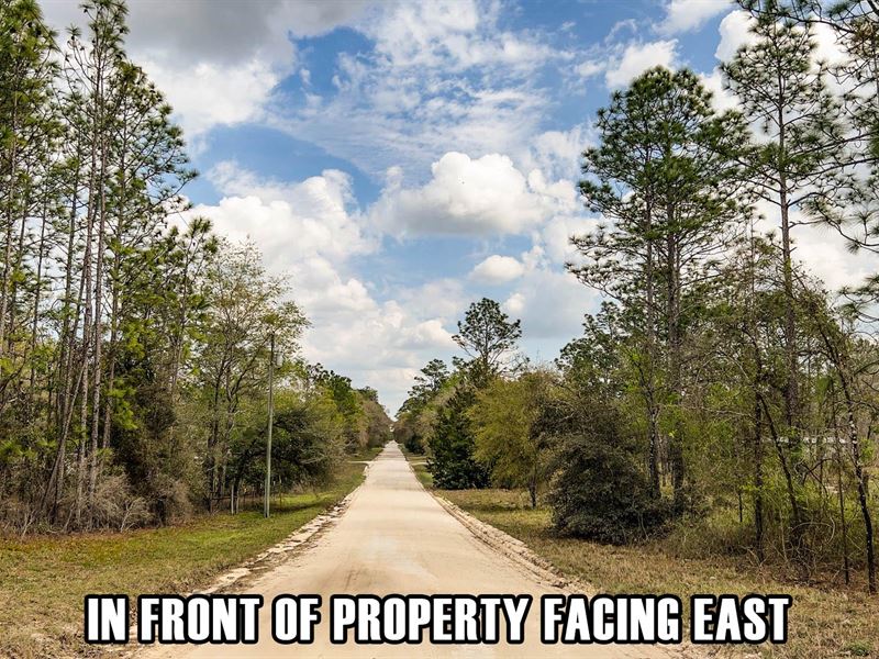 1.25 Acres in FL with Owner Finance : Morriston : Levy County : Florida