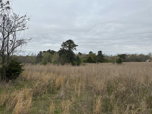 Land For Sale In Athens Tx