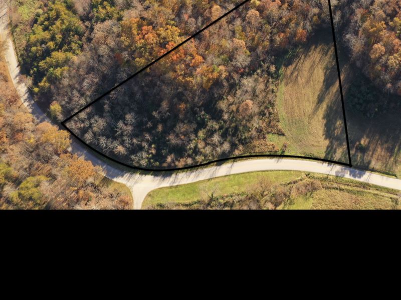 Land, South Fork Rockcastle River : London : Laurel County : Kentucky