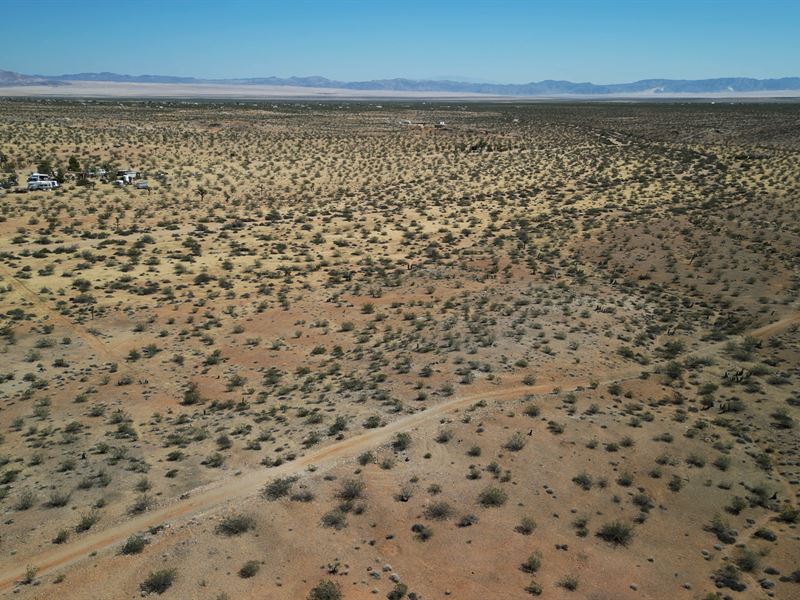 The Best Land That You Can't Resist : Yucca Valley : San Bernardino County : California