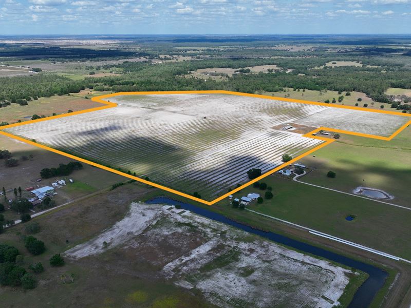 West Hardee Farm Acreage : Ona : Hardee County : Florida